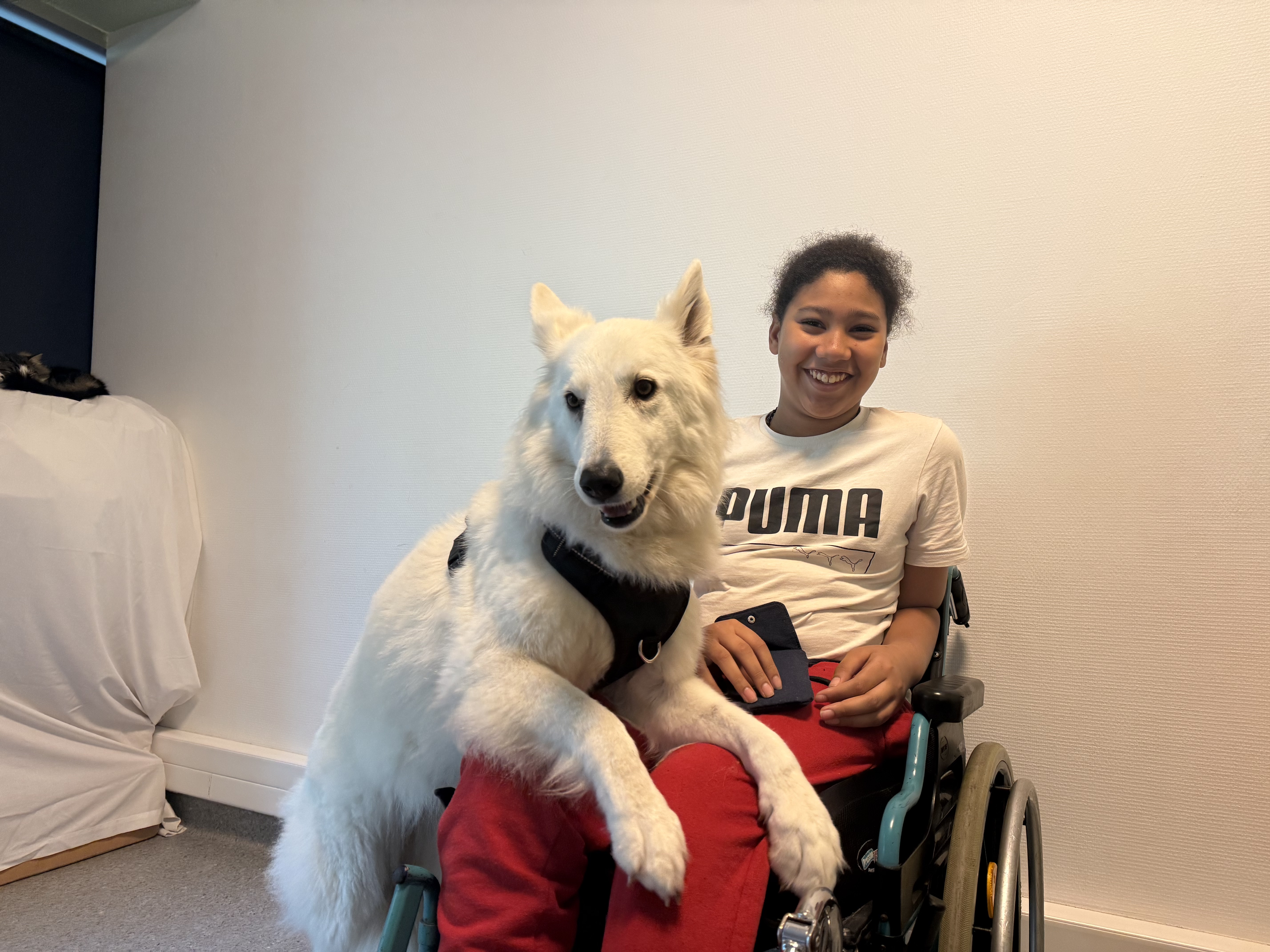 La Médiation Animale au service des enfants : un nouveau programme déployé à l’Institut Saint-Pierre et au Genévrier grâce au soutien de Royal Canin